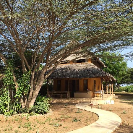 Mangrove House Hotel Lamu Luaran gambar