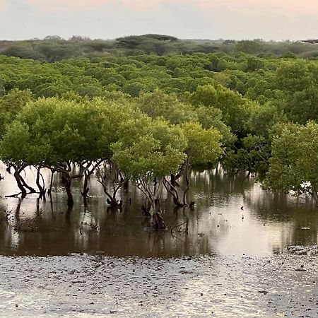 Mangrove House Hotel Lamu Luaran gambar
