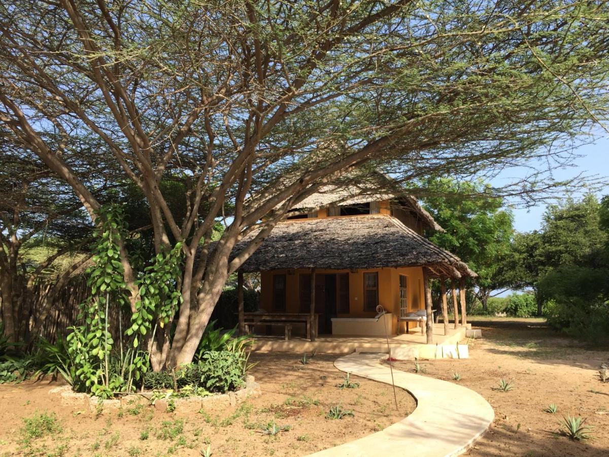 Mangrove House Hotel Lamu Luaran gambar