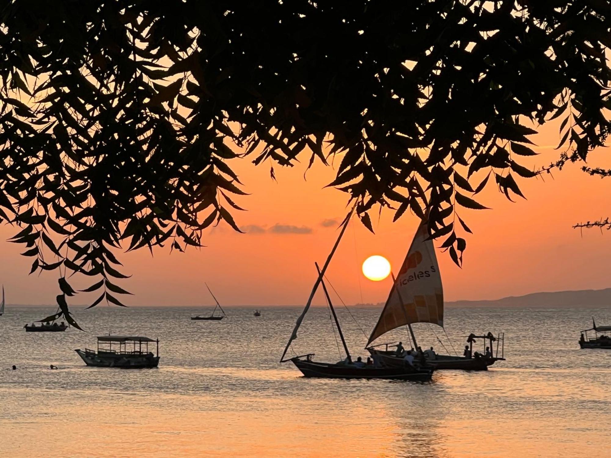 Mangrove House Hotel Lamu Luaran gambar