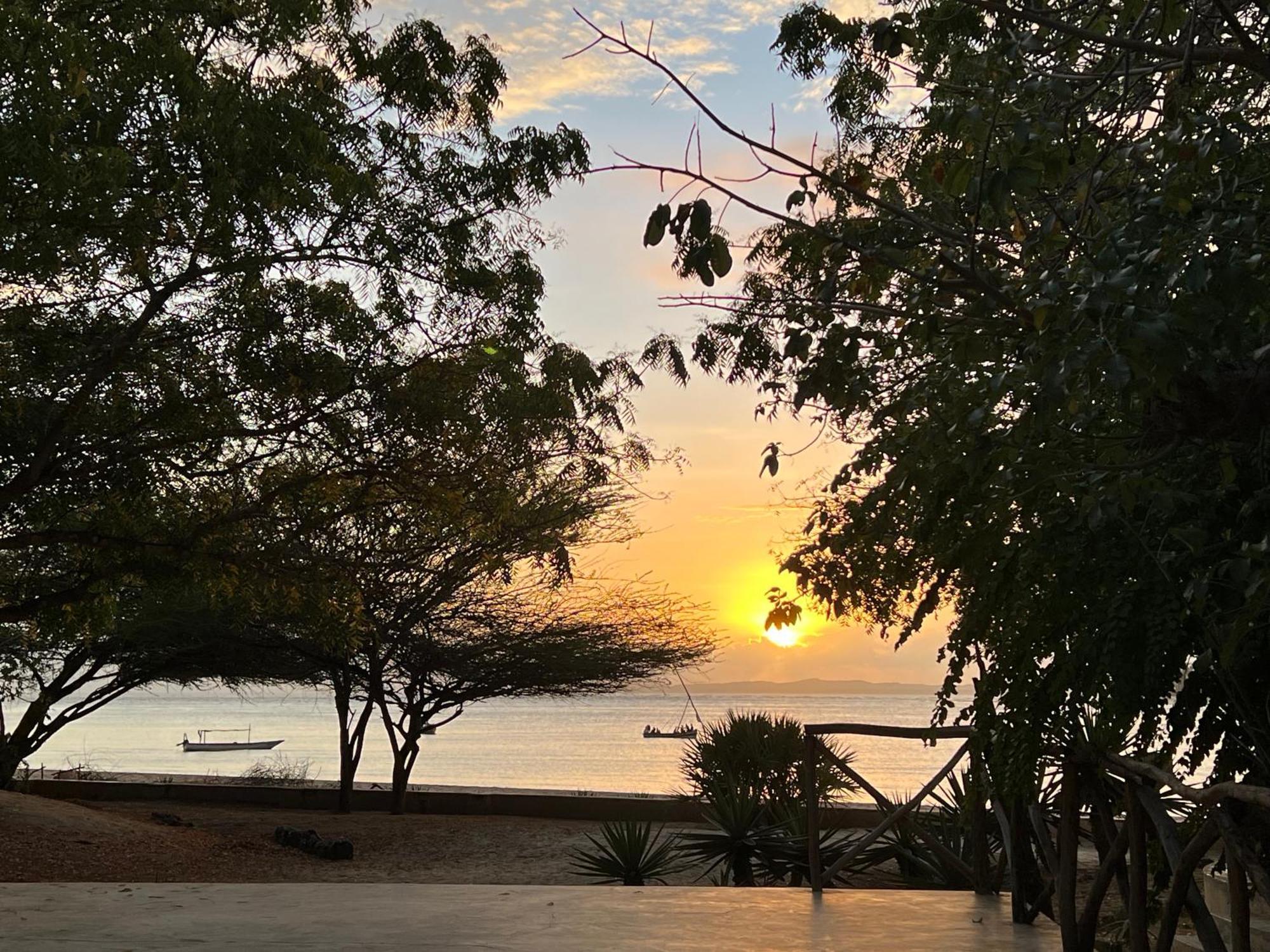 Mangrove House Hotel Lamu Luaran gambar