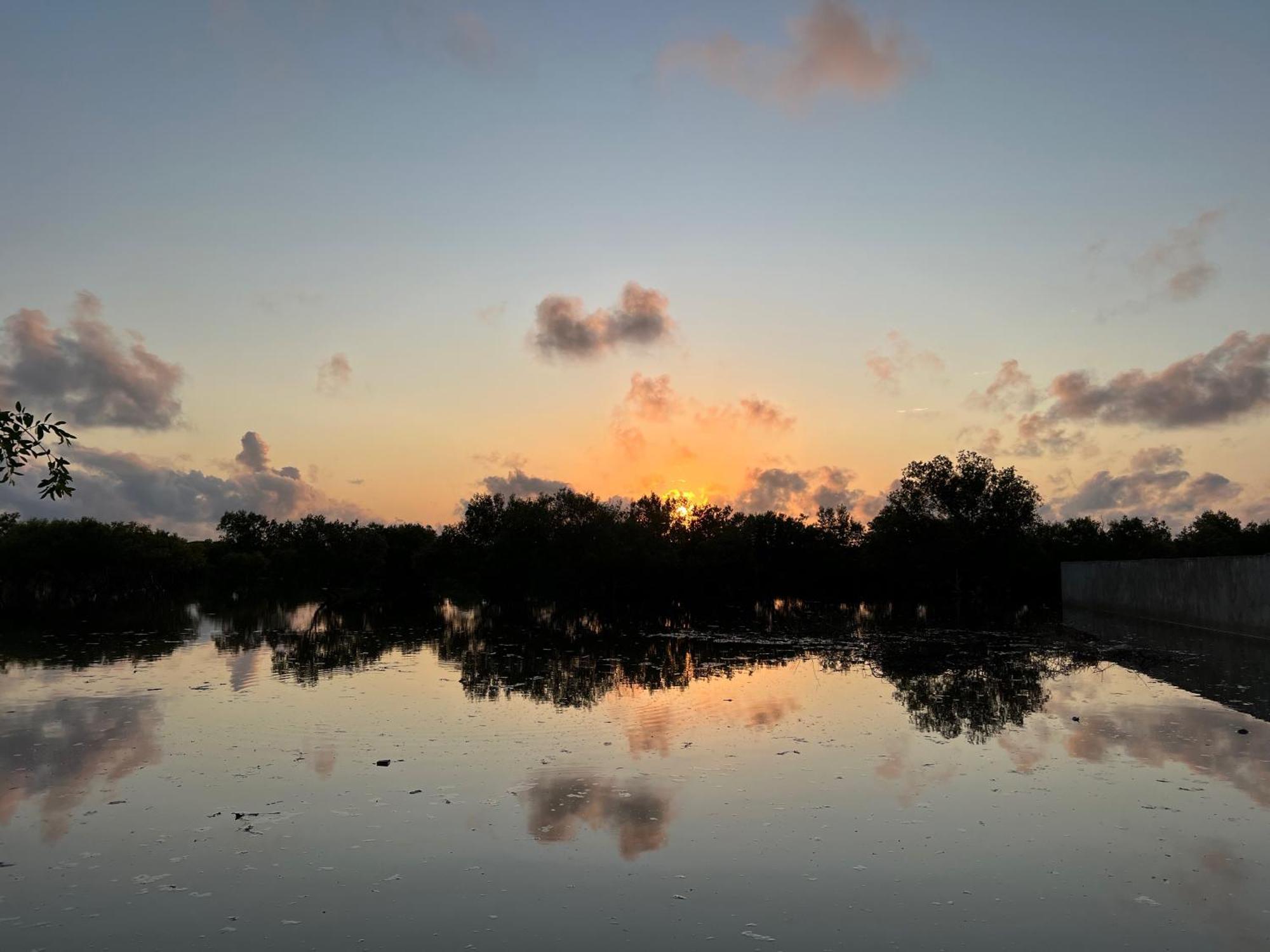 Mangrove House Hotel Lamu Luaran gambar