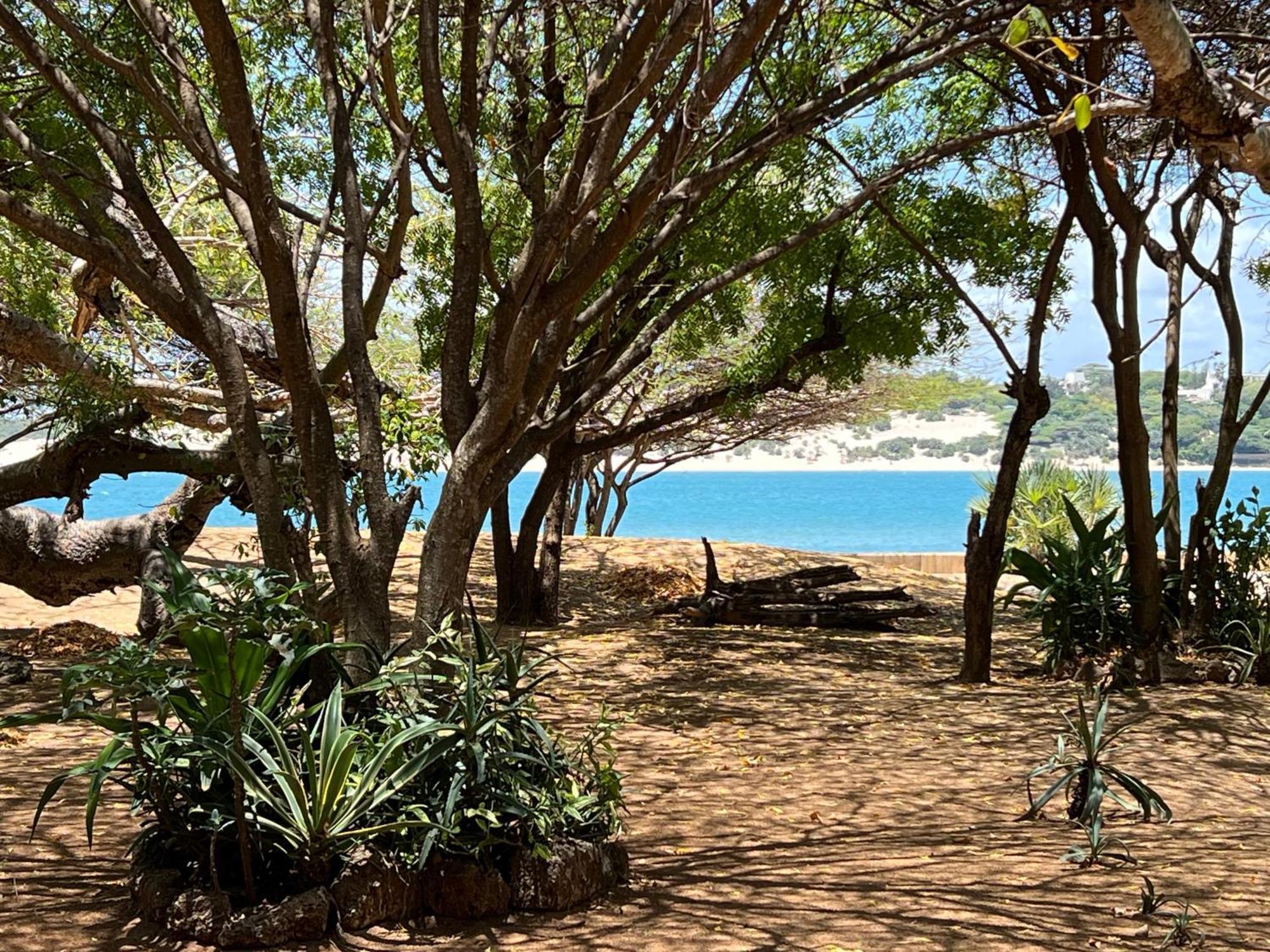 Mangrove House Hotel Lamu Luaran gambar