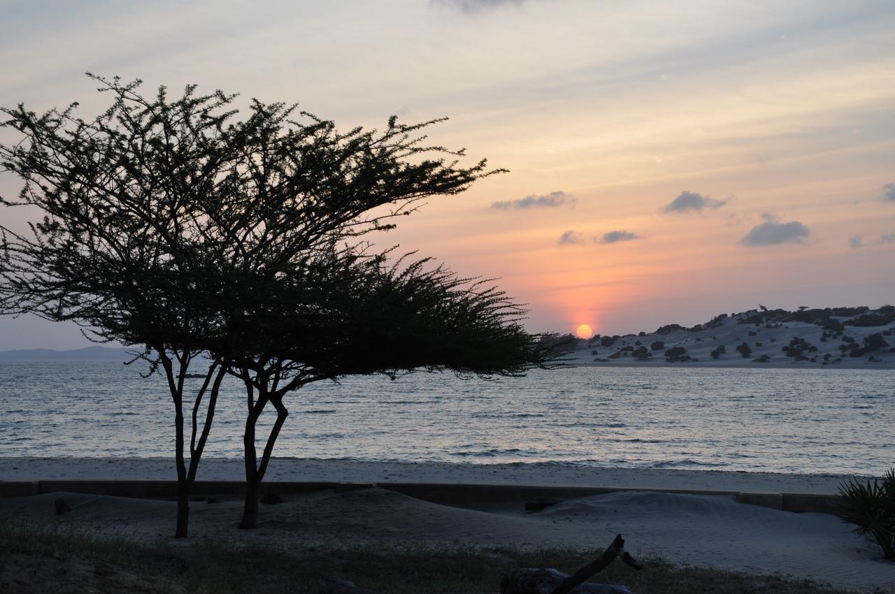 Mangrove House Hotel Lamu Luaran gambar